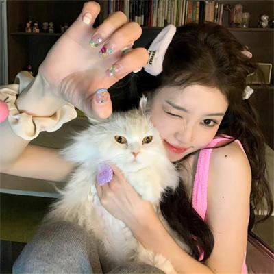 三只小猪