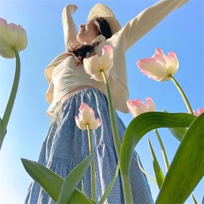 血麒麟之关东宝藏